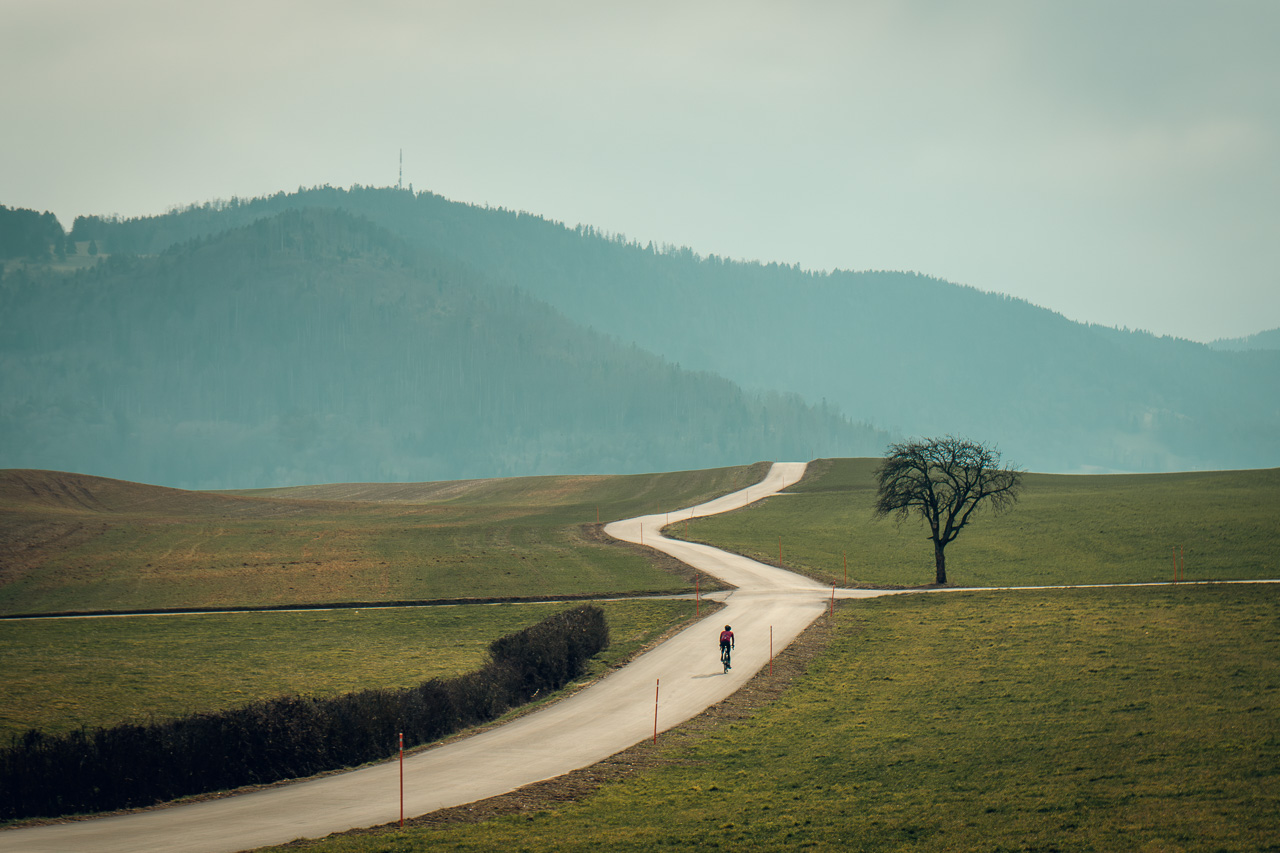 250310 Romainmotier Vaud gravel-03497